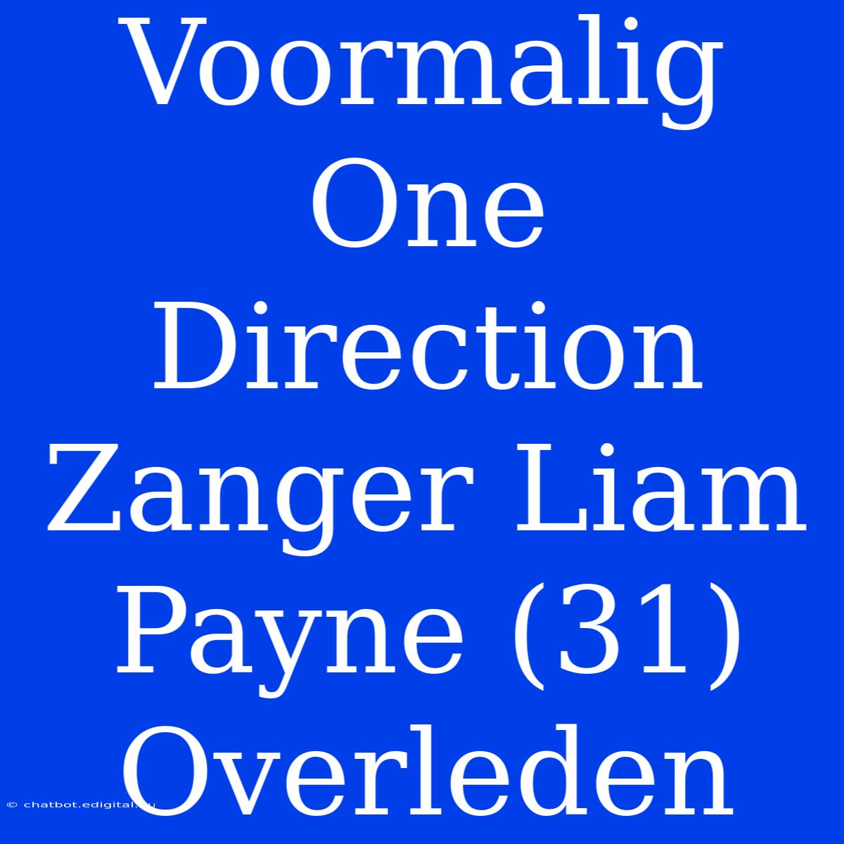 Voormalig One Direction Zanger Liam Payne (31) Overleden