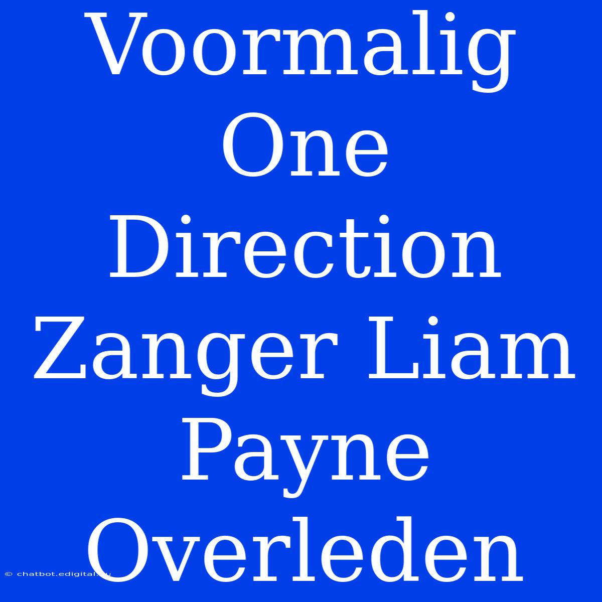 Voormalig One Direction Zanger Liam Payne Overleden