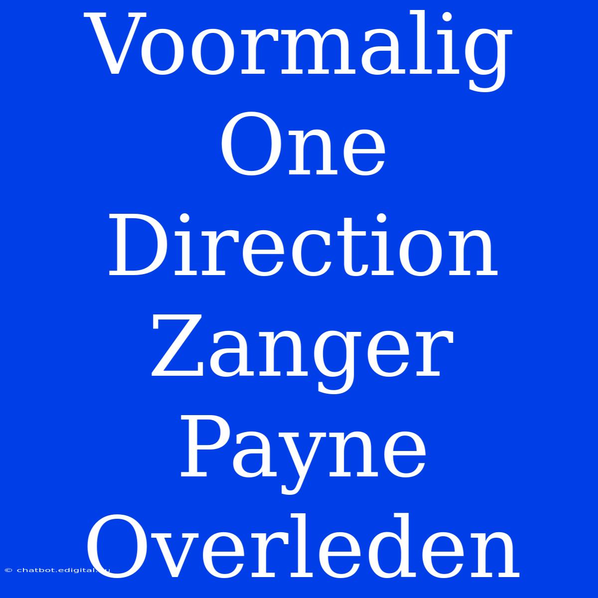 Voormalig One Direction Zanger Payne Overleden