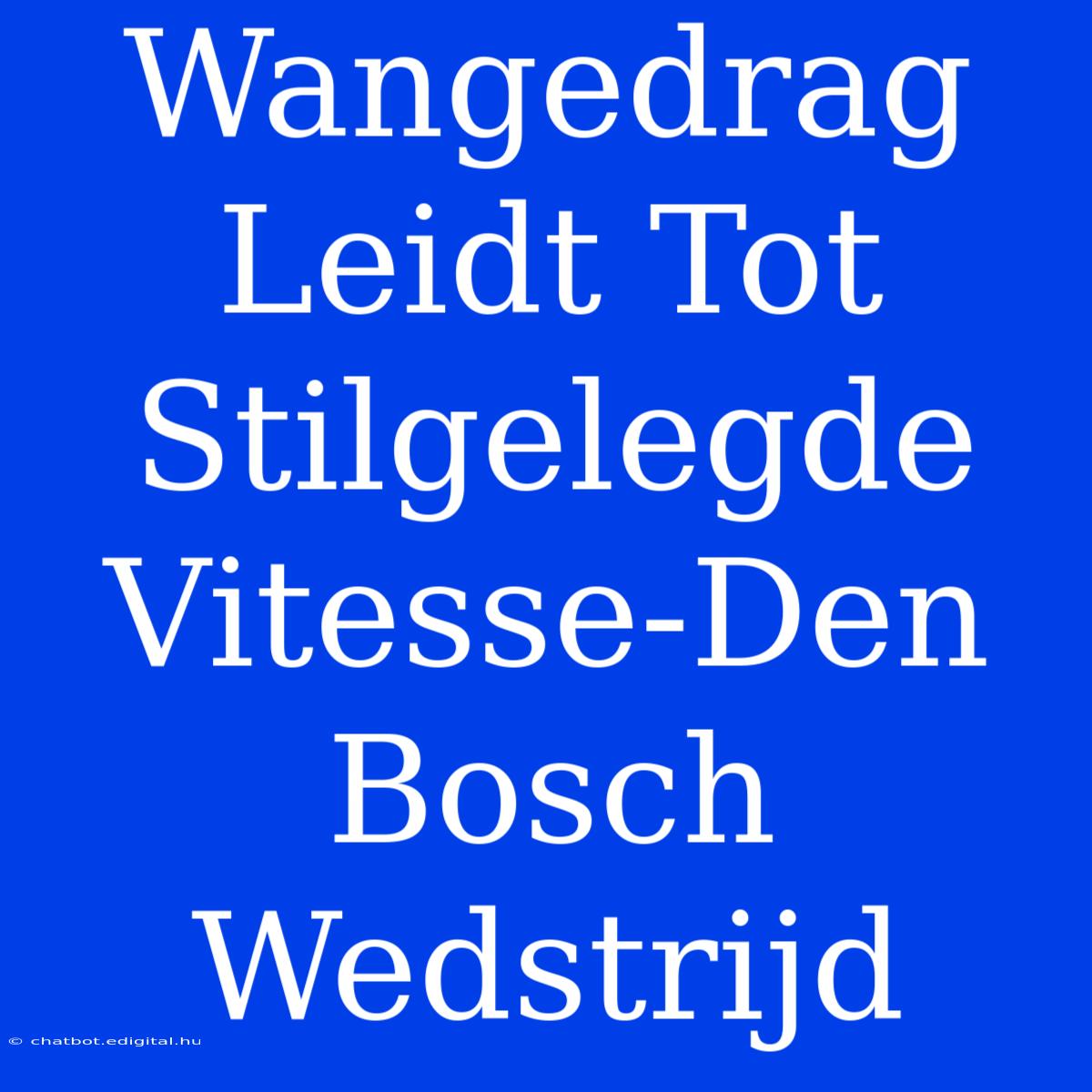 Wangedrag Leidt Tot Stilgelegde Vitesse-Den Bosch Wedstrijd