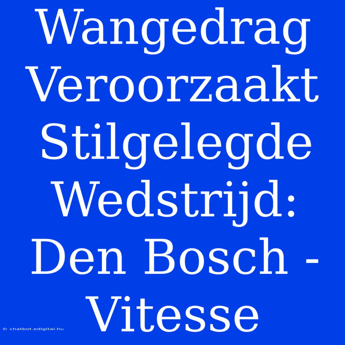 Wangedrag Veroorzaakt Stilgelegde Wedstrijd: Den Bosch - Vitesse