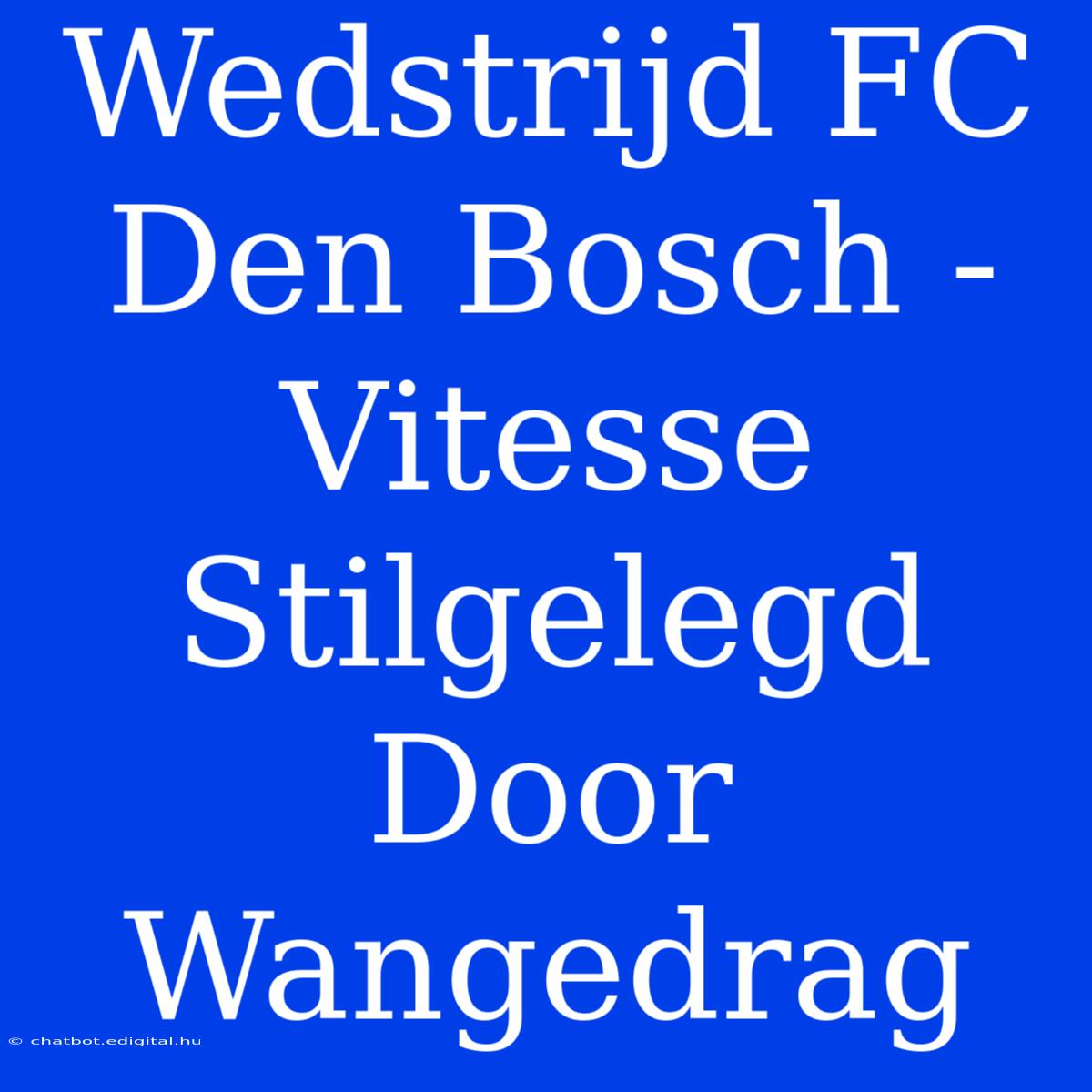 Wedstrijd FC Den Bosch - Vitesse Stilgelegd Door Wangedrag