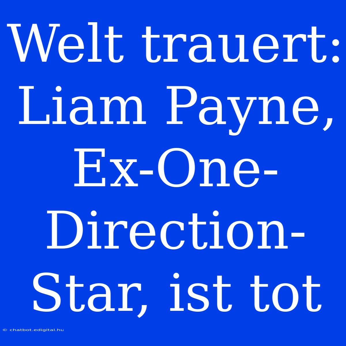 Welt Trauert: Liam Payne, Ex-One-Direction-Star, Ist Tot