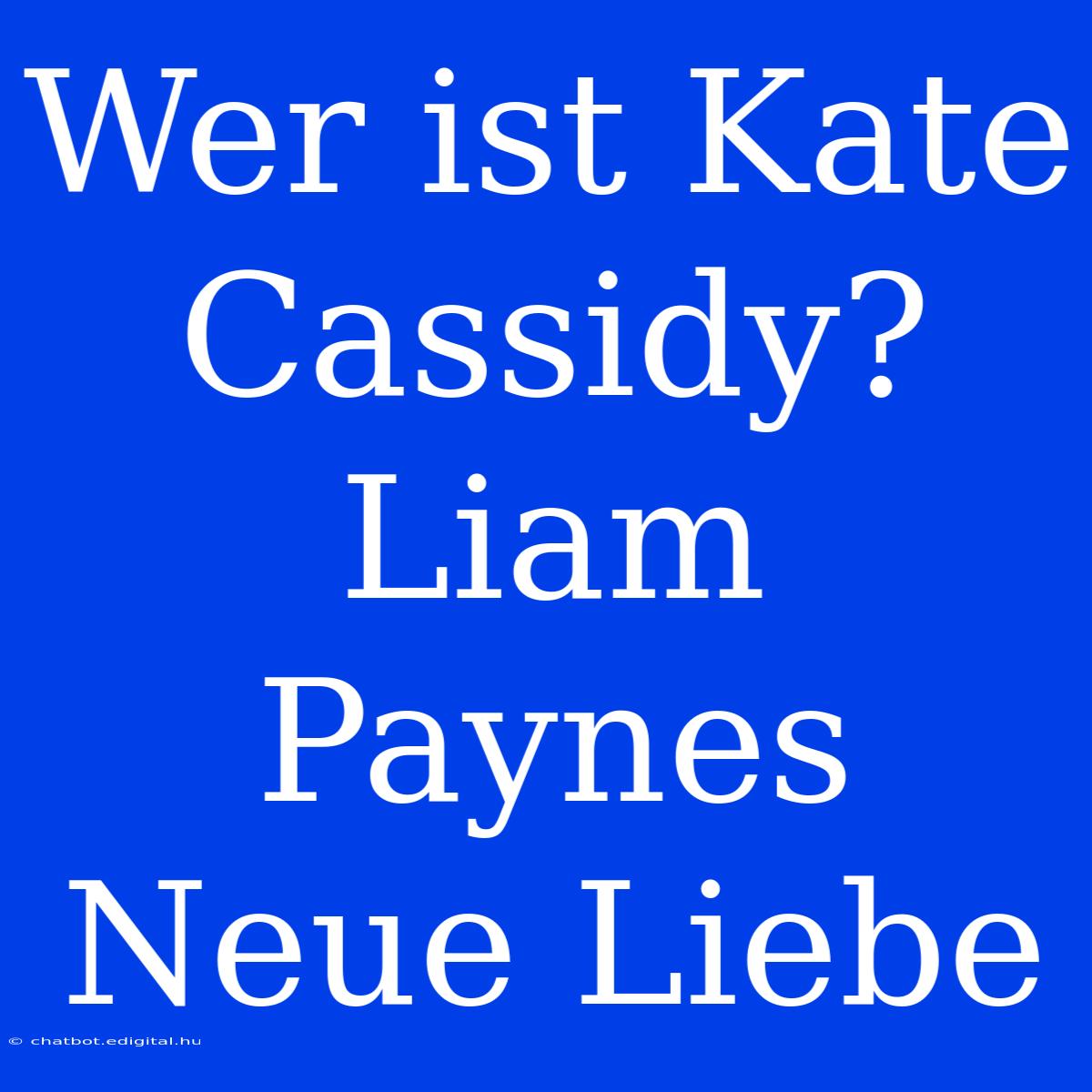 Wer Ist Kate Cassidy? Liam Paynes Neue Liebe