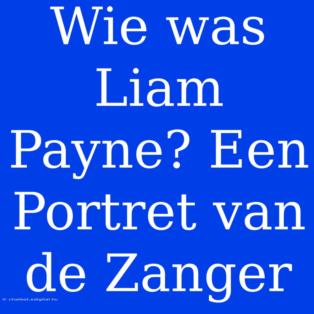 Wie Was Liam Payne? Een Portret Van De Zanger