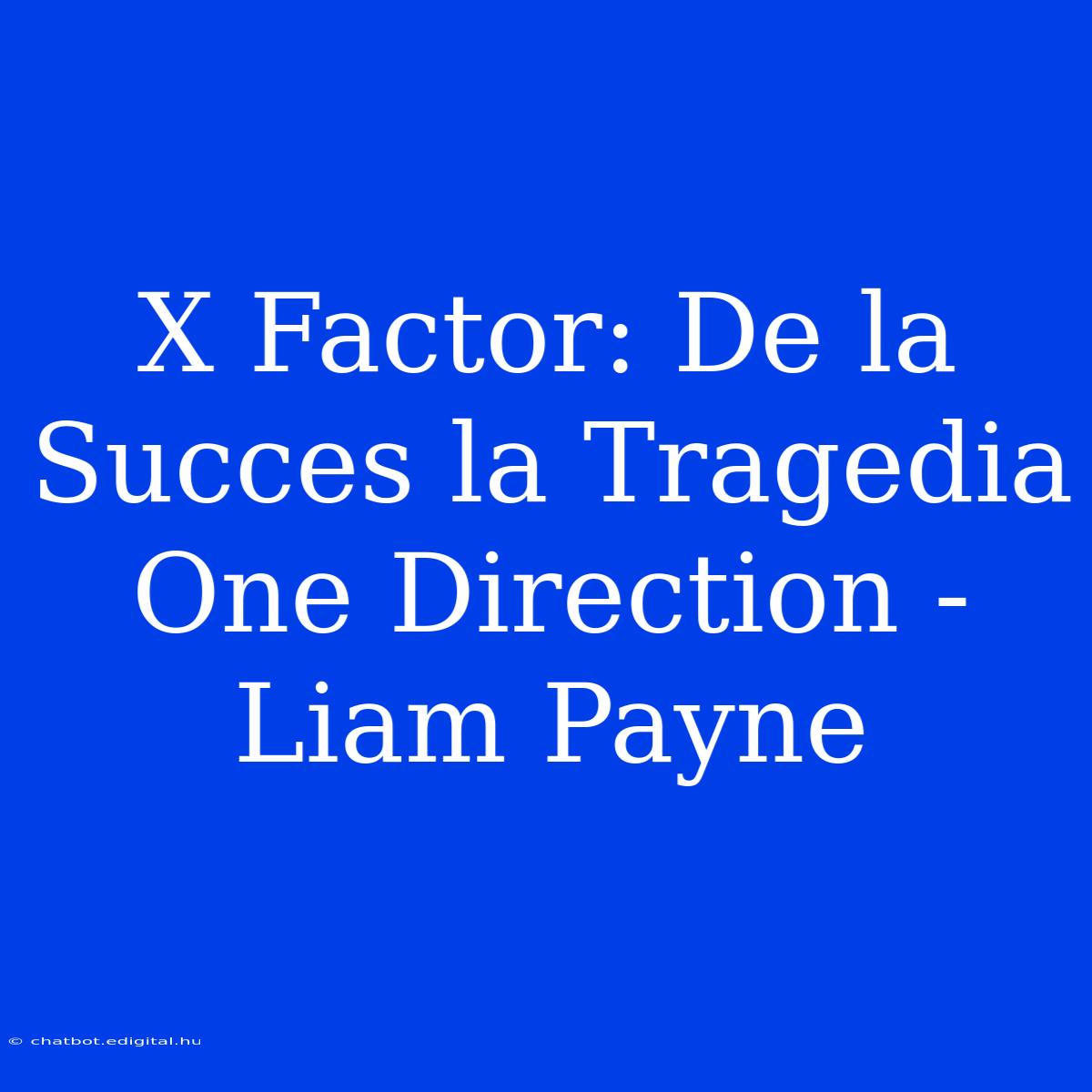 X Factor: De La Succes La Tragedia One Direction - Liam Payne