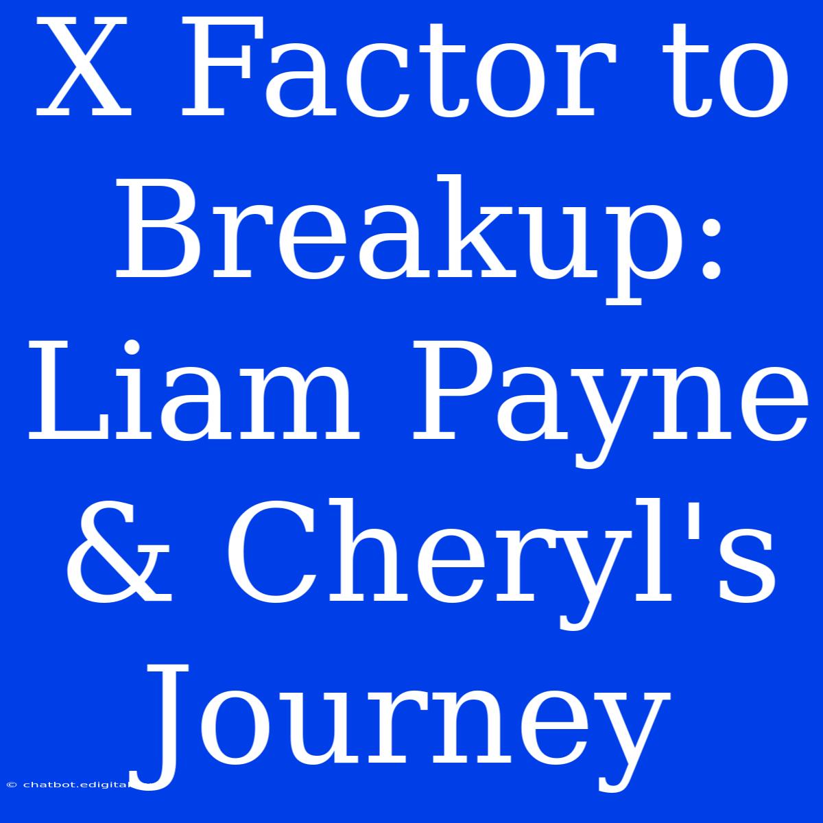 X Factor To Breakup: Liam Payne & Cheryl's Journey