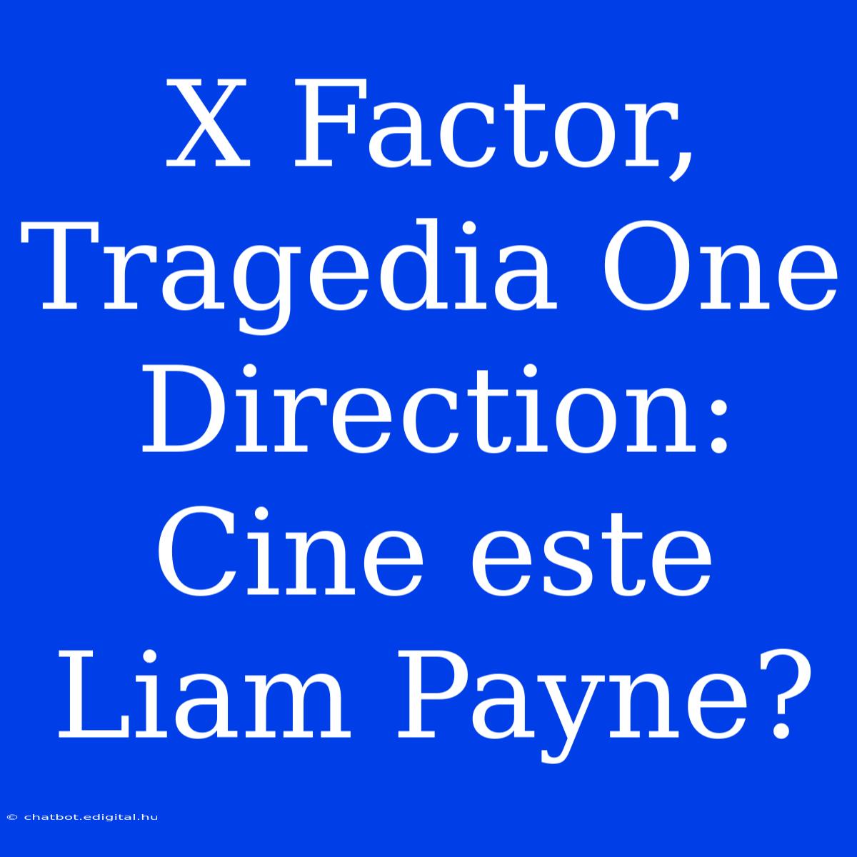 X Factor, Tragedia One Direction: Cine Este Liam Payne?