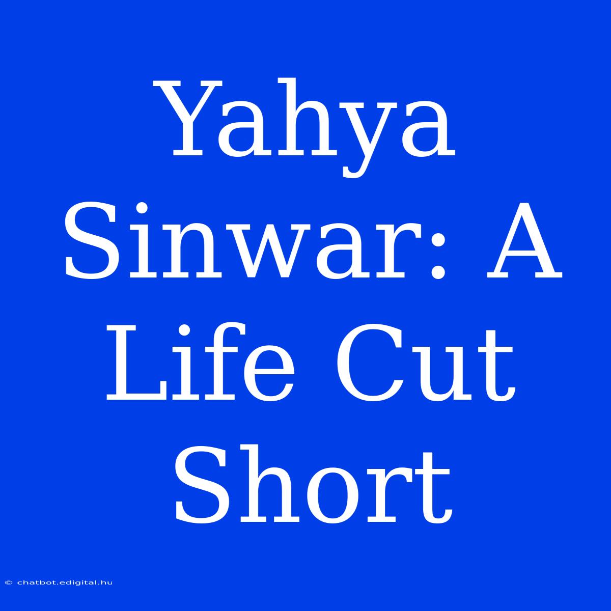 Yahya Sinwar: A Life Cut Short