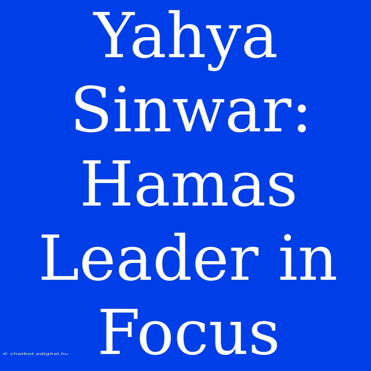 Yahya Sinwar: Hamas Leader In Focus