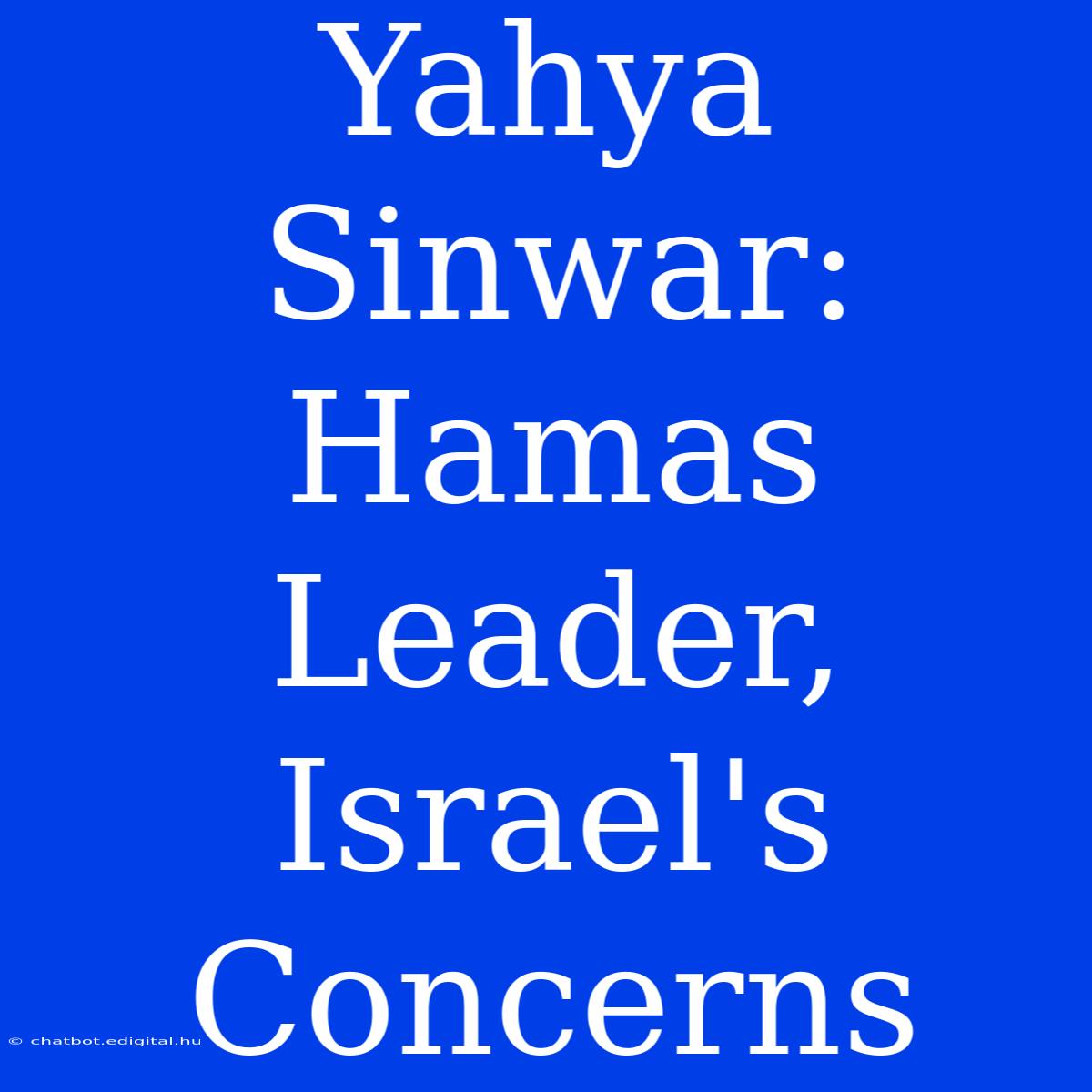 Yahya Sinwar: Hamas Leader, Israel's Concerns