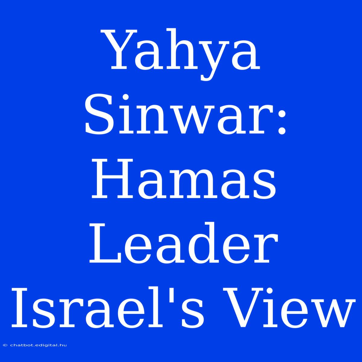 Yahya Sinwar: Hamas Leader Israel's View