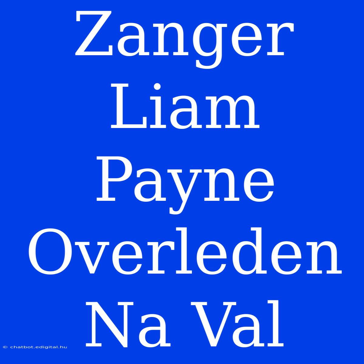 Zanger Liam Payne Overleden Na Val 