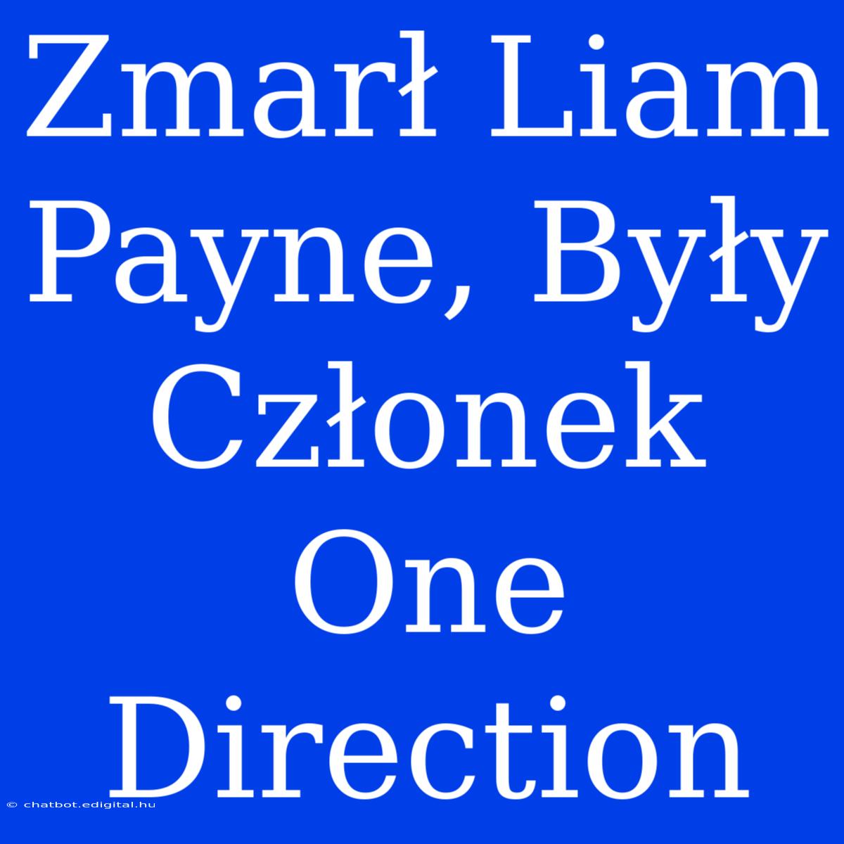 Zmarł Liam Payne, Były Członek One Direction