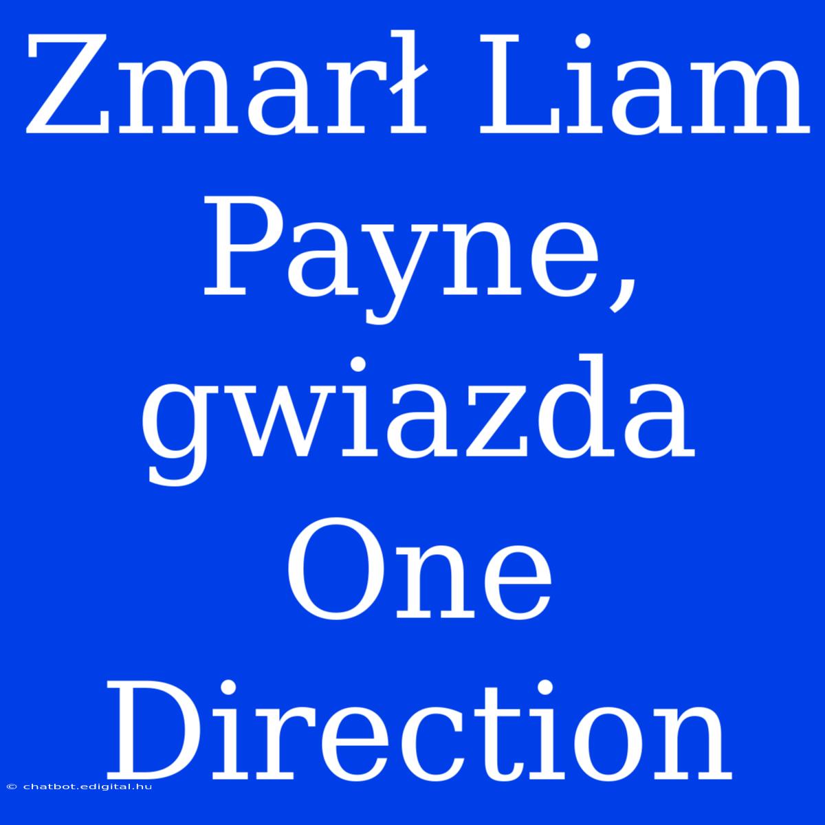 Zmarł Liam Payne, Gwiazda One Direction