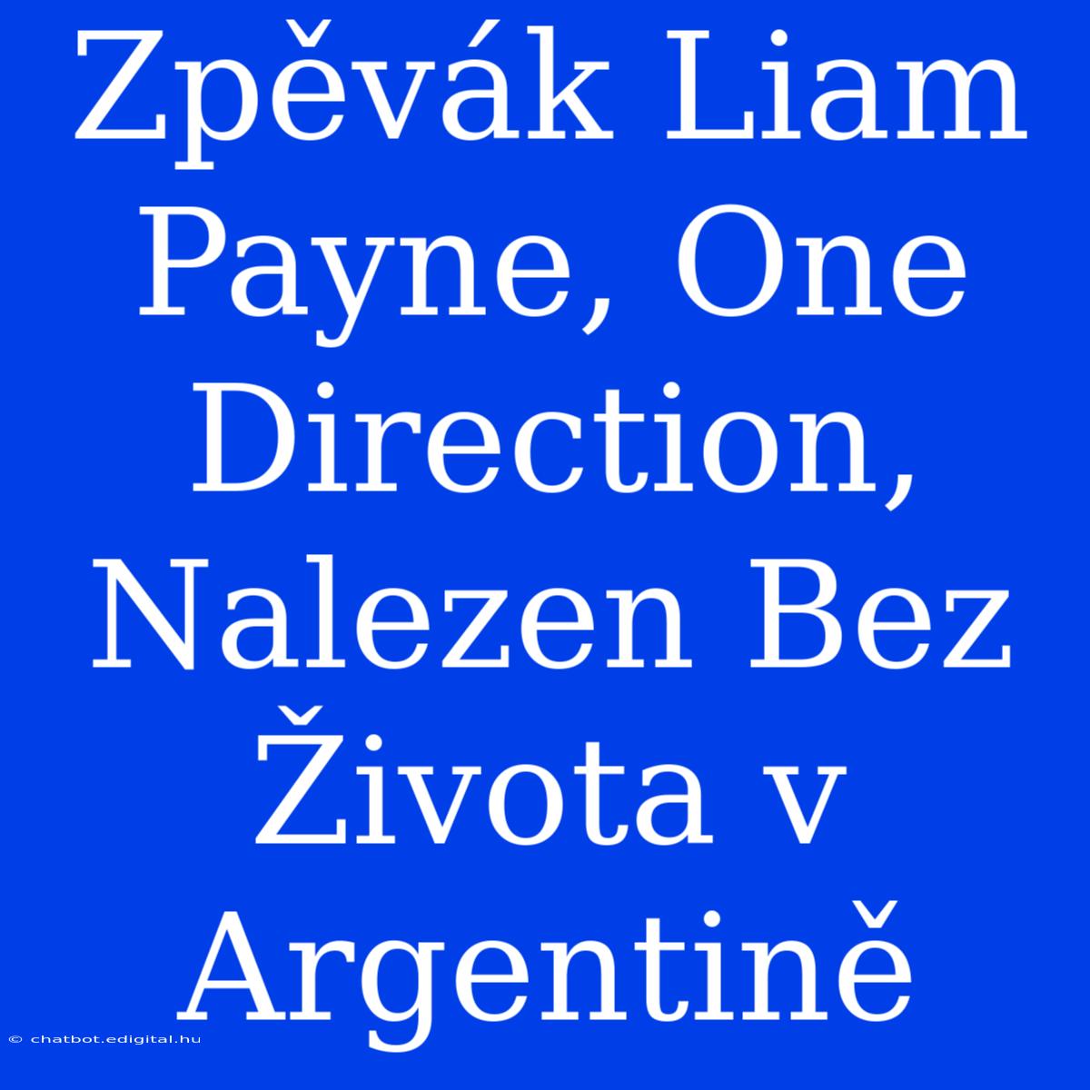 Zpěvák Liam Payne, One Direction, Nalezen Bez Života V Argentině