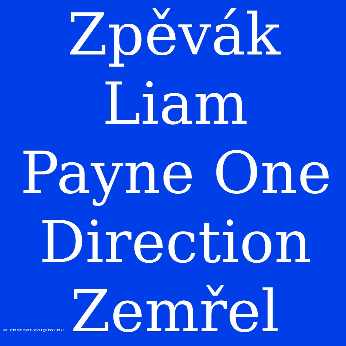 Zpěvák Liam Payne One Direction Zemřel 