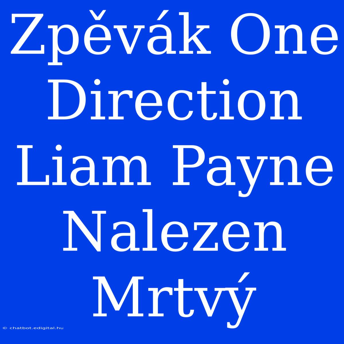 Zpěvák One Direction Liam Payne Nalezen Mrtvý